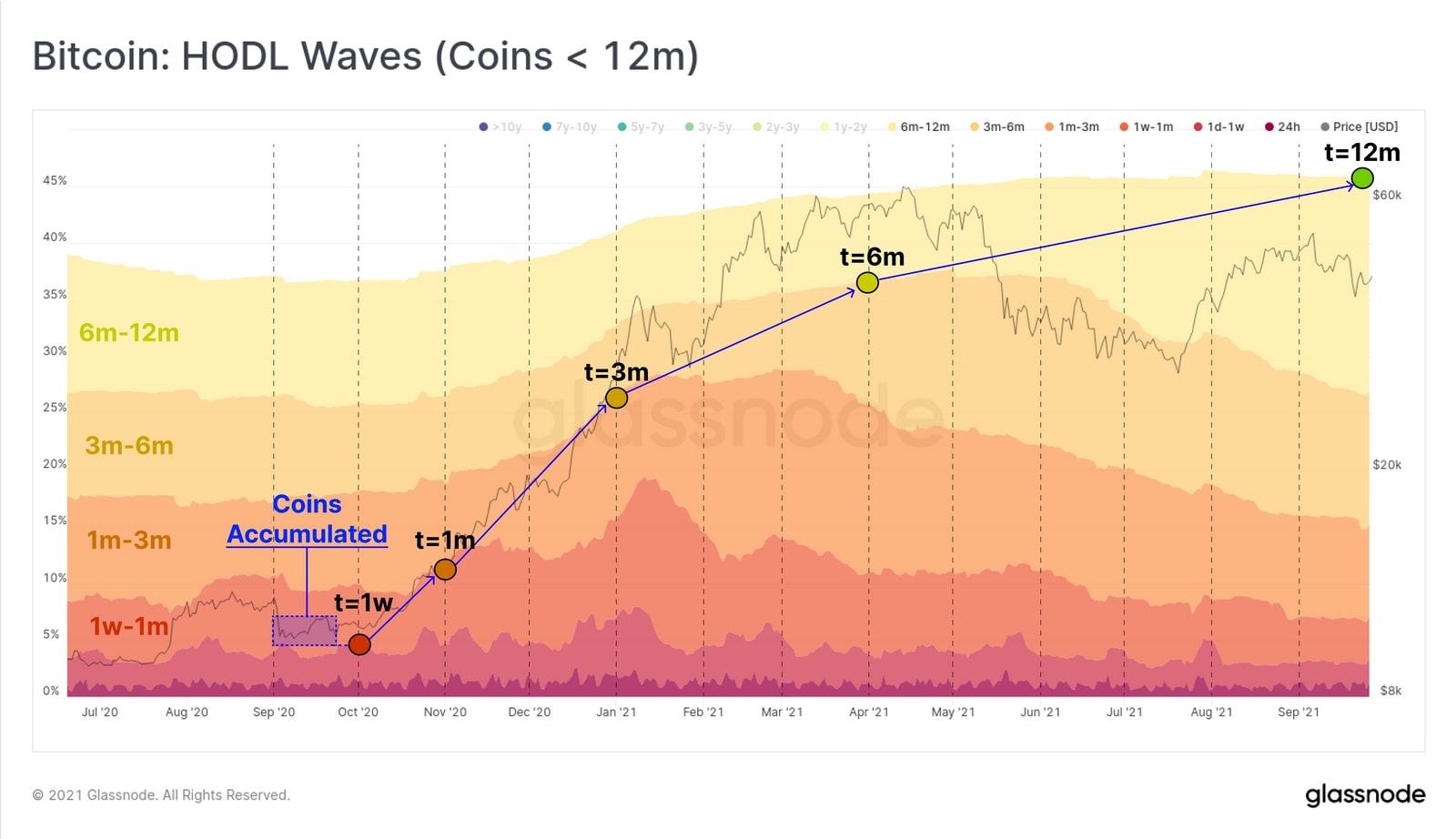Biểu đồ Bitcoin: Sóng Waves (Coins <12m) (Nguồn: Glassnode)
