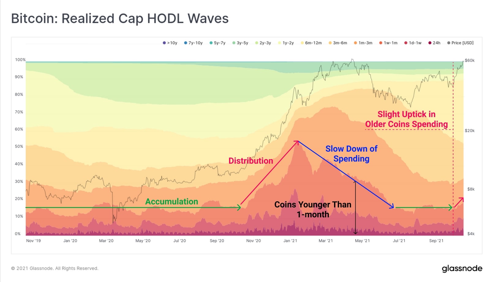 Biểu đồ Bitcoin: Realized Cap HODL Waves (Nguồn: insights.glassnode.com)