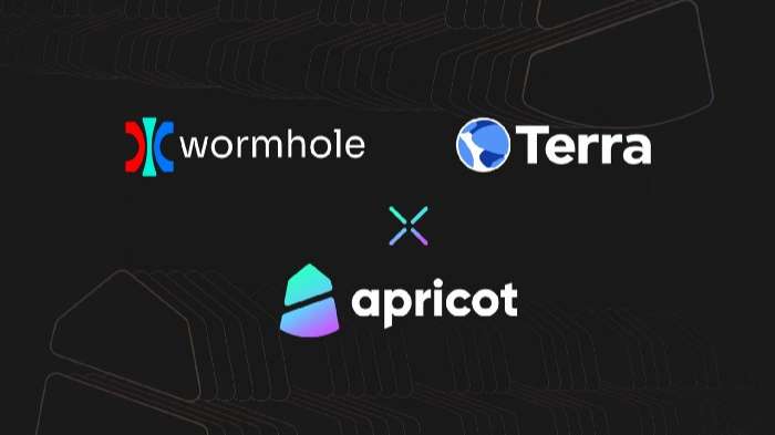 Apricot hợp tác với Wormhole