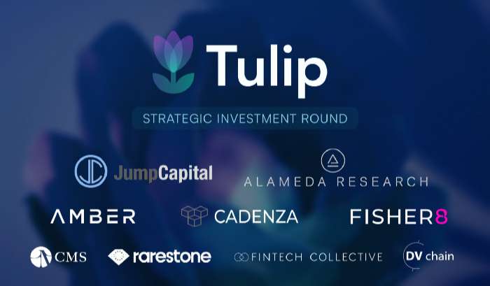 Investors of Tulip