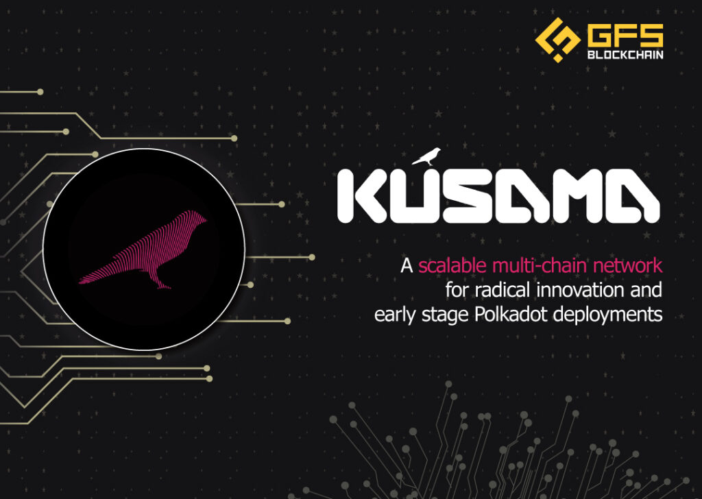Tổng quan về dự án Kusama