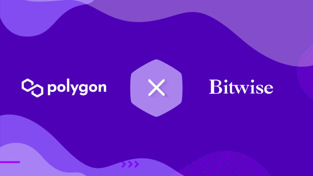 Polygon & Bitwise