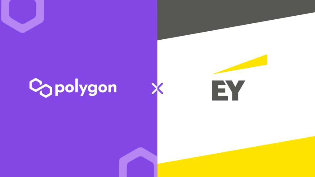 Polygon & EY