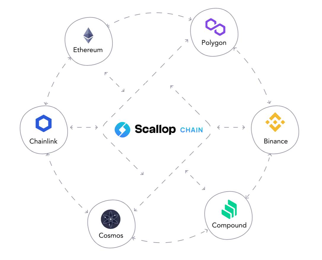 Scallop Chain của Scallop (SCLP)