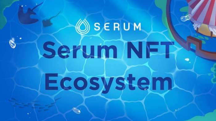 Serum in partnership with Burnt Finance