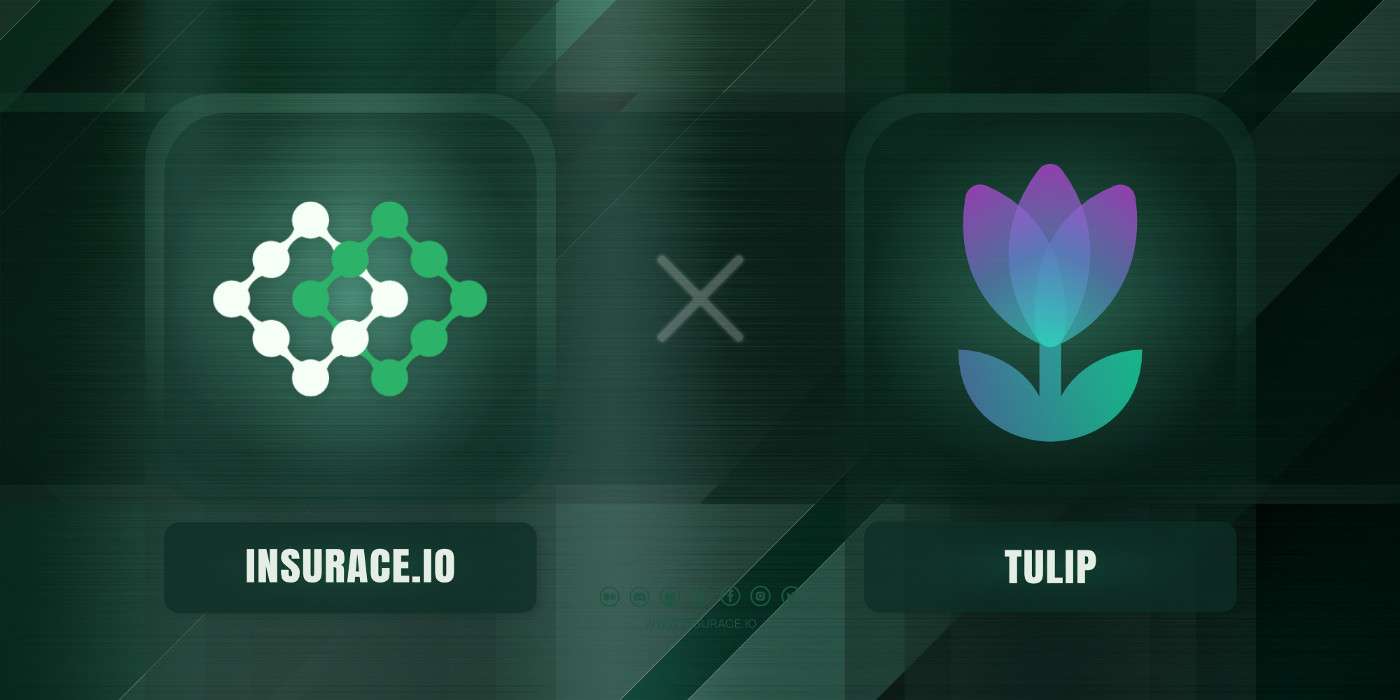 Tulip partnered with Insurace.io
