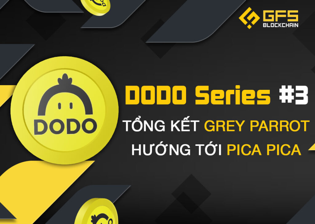 DODO Series 3 - Tổng kết Grey Parrot – Hướng tới Pica Pica