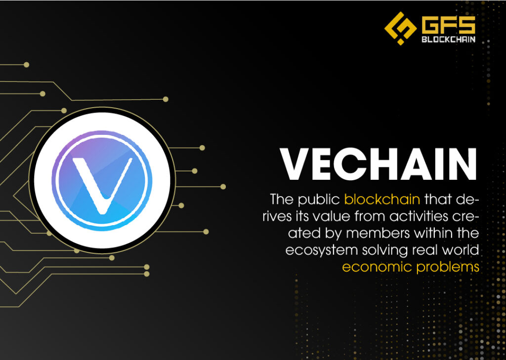 Tổng quan về dự án Vechain
