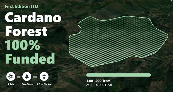 Cardano Forest