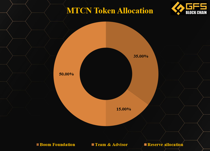 MTCN Token Allocation