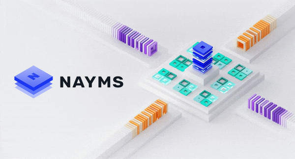 Tổng quan về dự án NAYMS