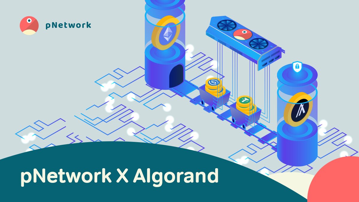 pNetwork Chính thức ra mắt Cầu xuyên chuỗi cho Algorand