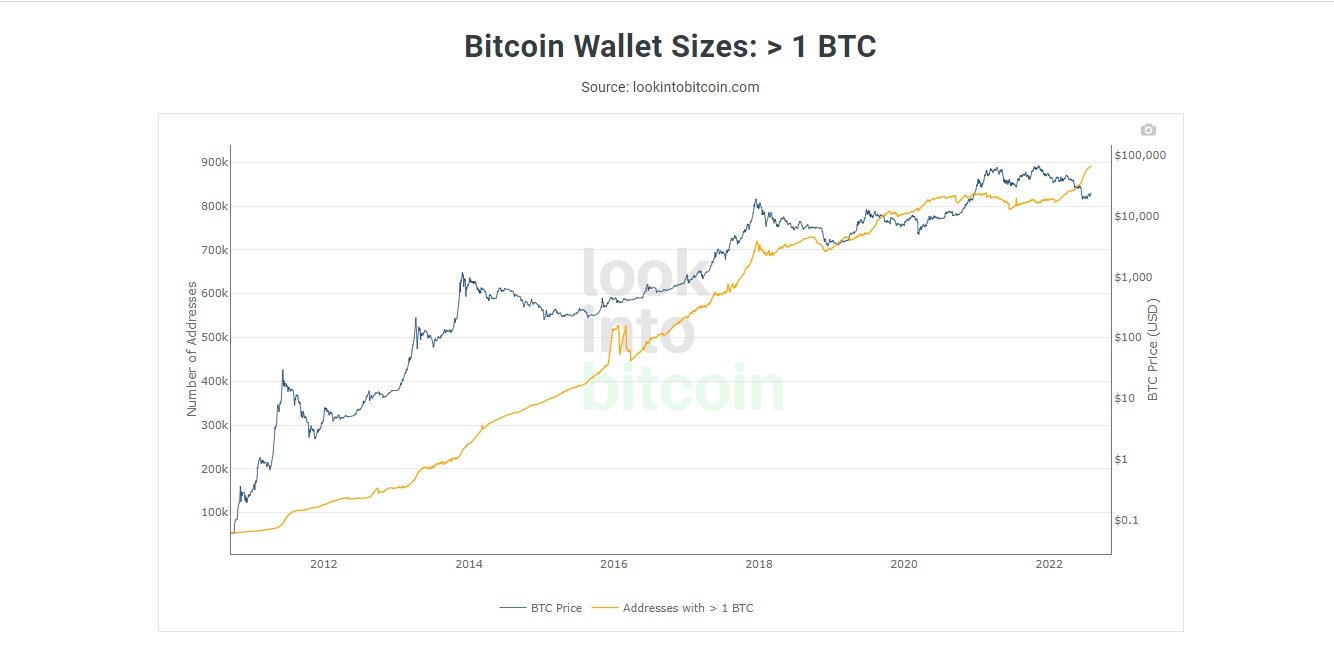 Bitcoin wallet size > 1BTC
