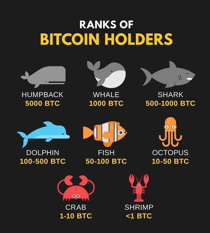 Rank of Bitcoin holders