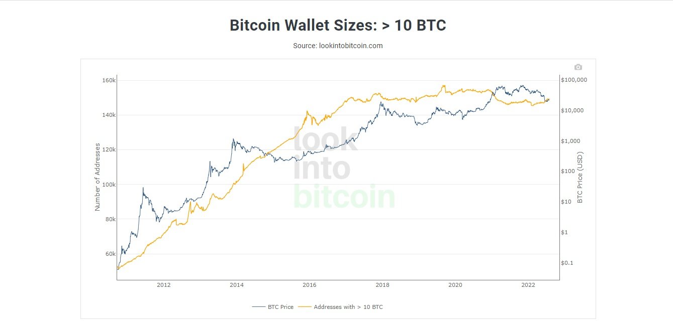 Bitcoin wallet size > 10BTC