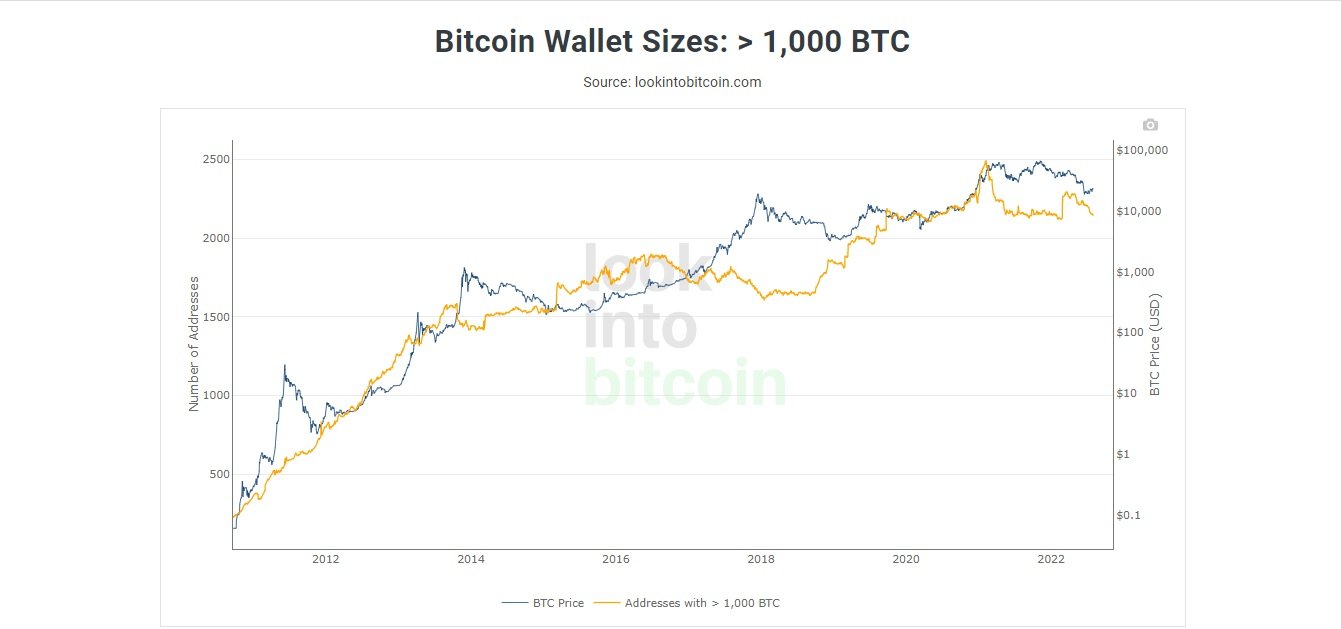 Bitcoin wallet size > 1000BTC
