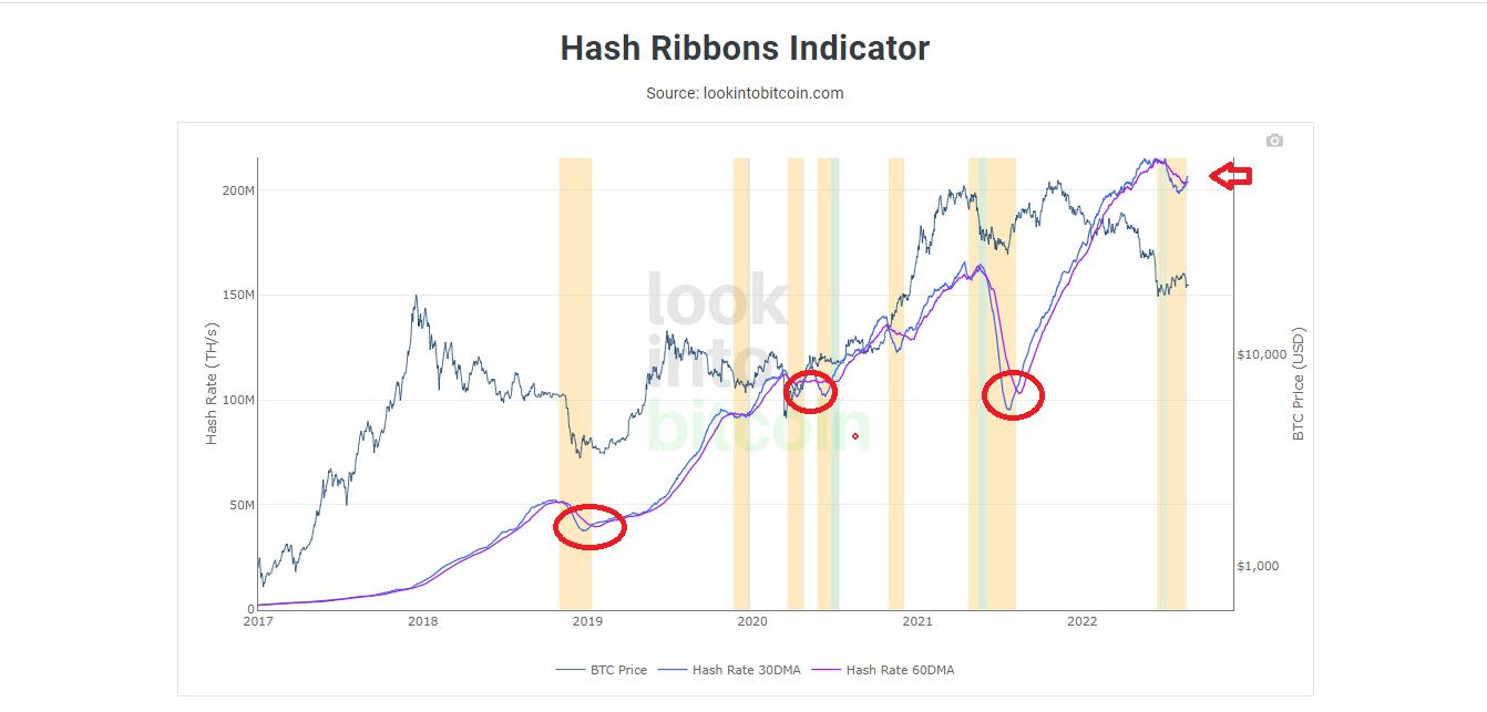 Hash Ribbons Indicator