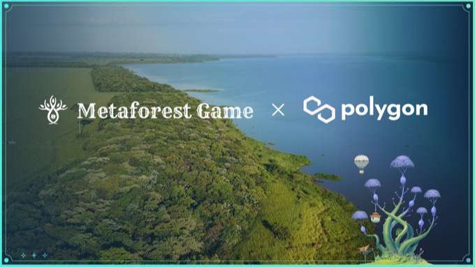 Metaforest Game hợp tác với Polygon 