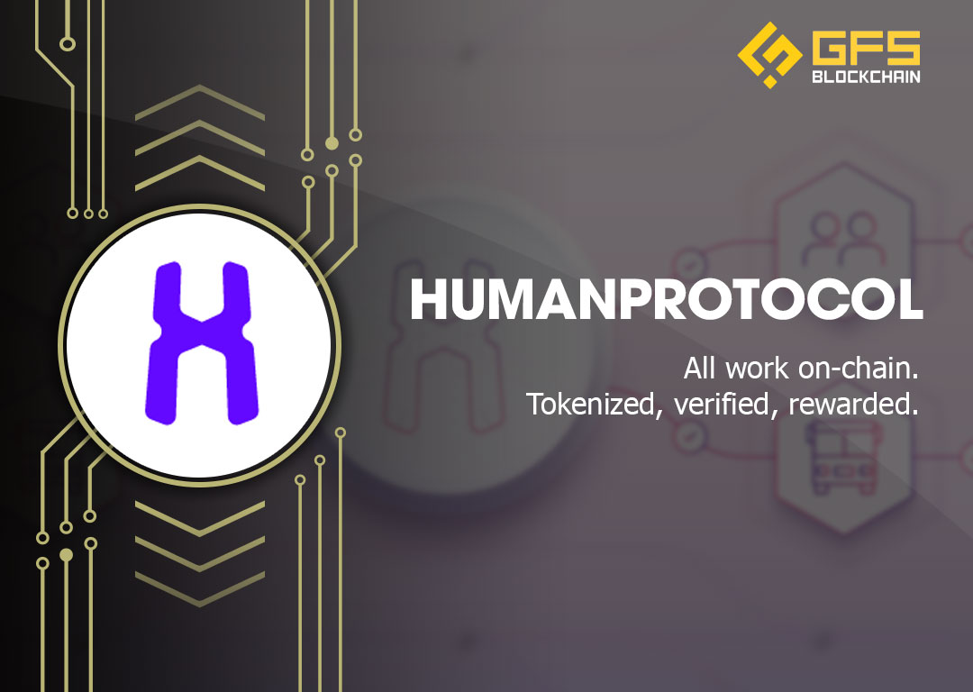 Human Protocol Là Gì Hmt Tổng Quan Về Dự án Human Gfi Blockchain 1928