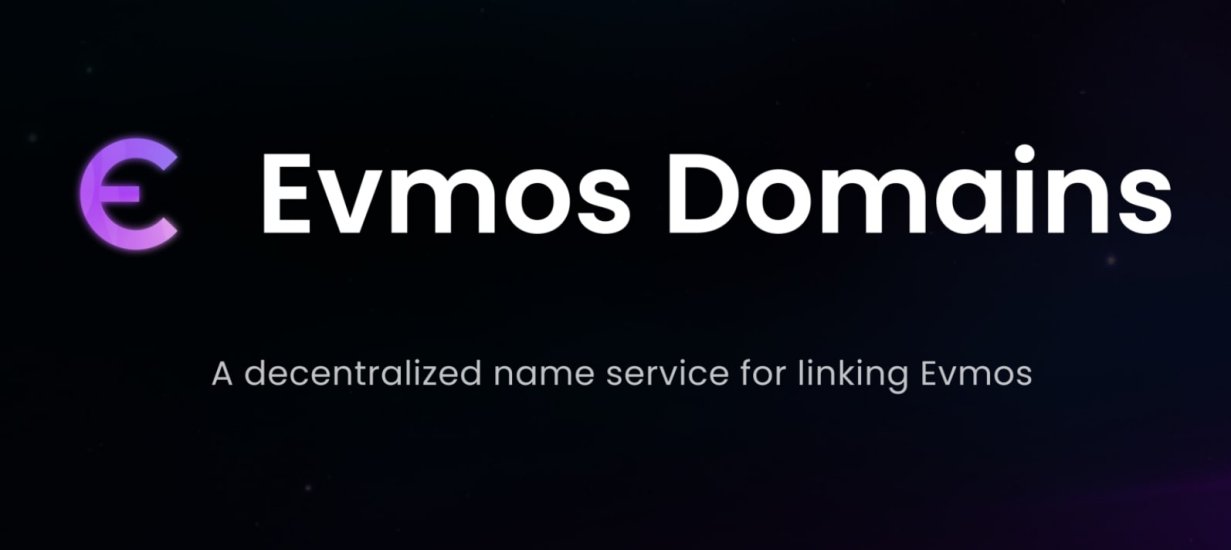 Tổng quan dự án Evmos Domain