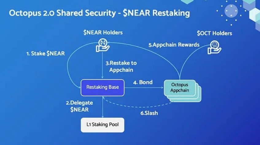 Cơ chế shared security của NEAR