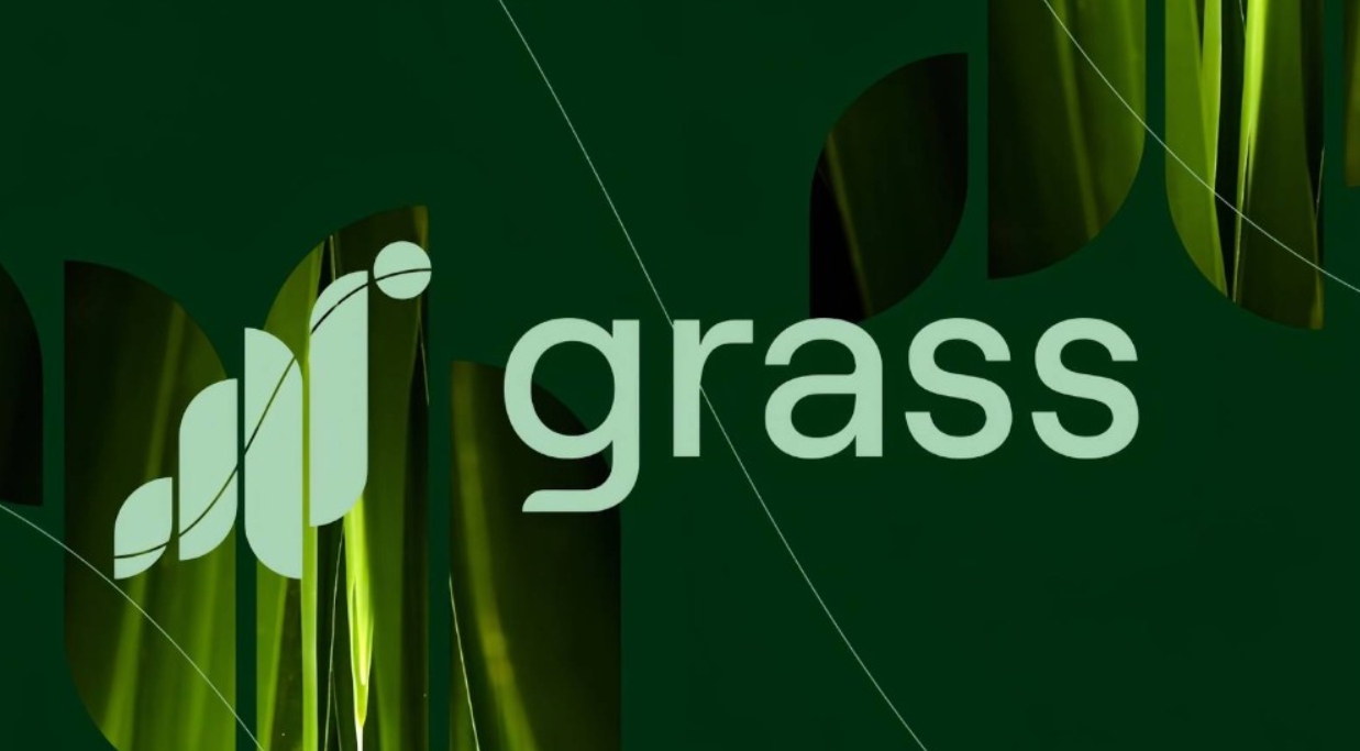 Grass là gì?