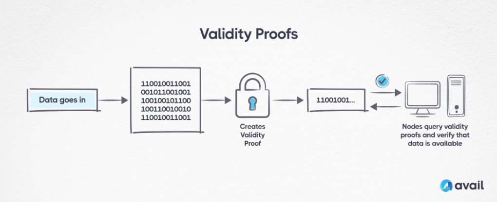 Cơ chế bằng chứng hợp lệ của Avail (ảnh: Avail)