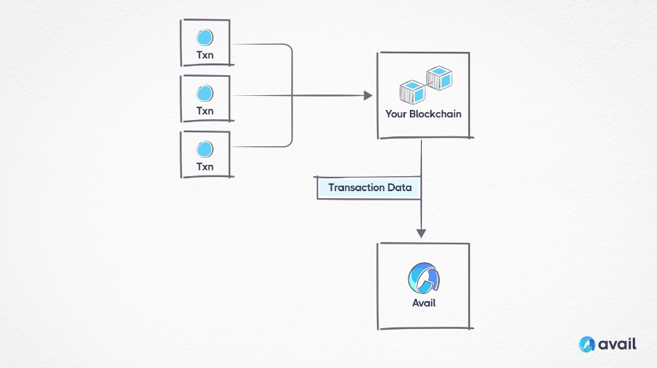 Cách Avail kết nối với các Blockchain