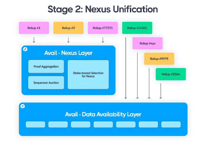 Thành phần lớp Nexus của Avail