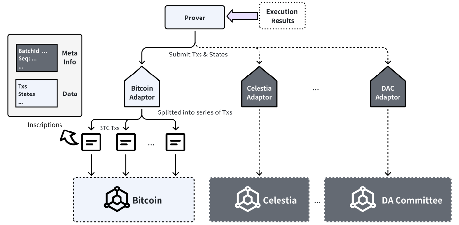 Data availability