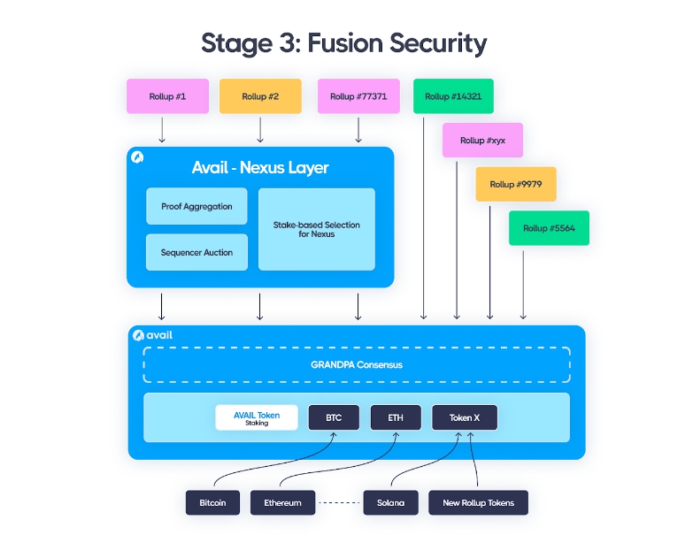 Cấu trong Avail Fusion