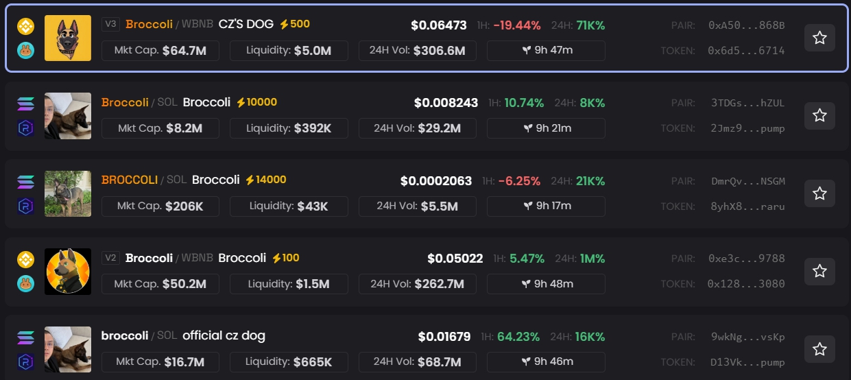 Hàng loạt memecoin Broccoli ra đời sau tweet của CZ (Nguồn: DEXScreener)